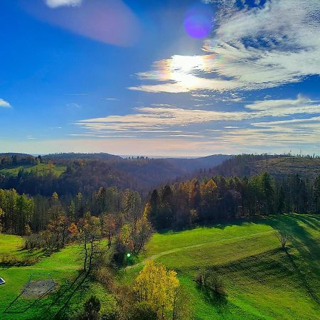 Apartment Harzfeuer Mit Wunderbarem Ausblick Und Schwimmbad Braunlage Exterior foto